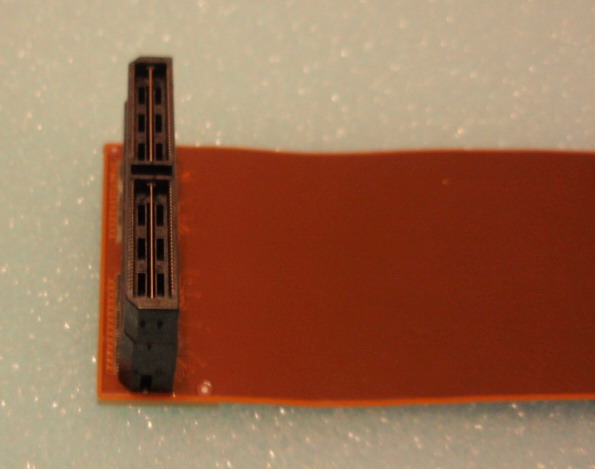 P1010213 eefocus.JPG