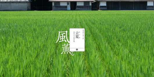 äºååèæ°ï½ç«å¤