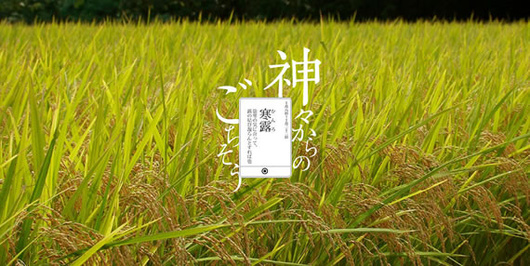 äºååèæ°ï½å¯é²