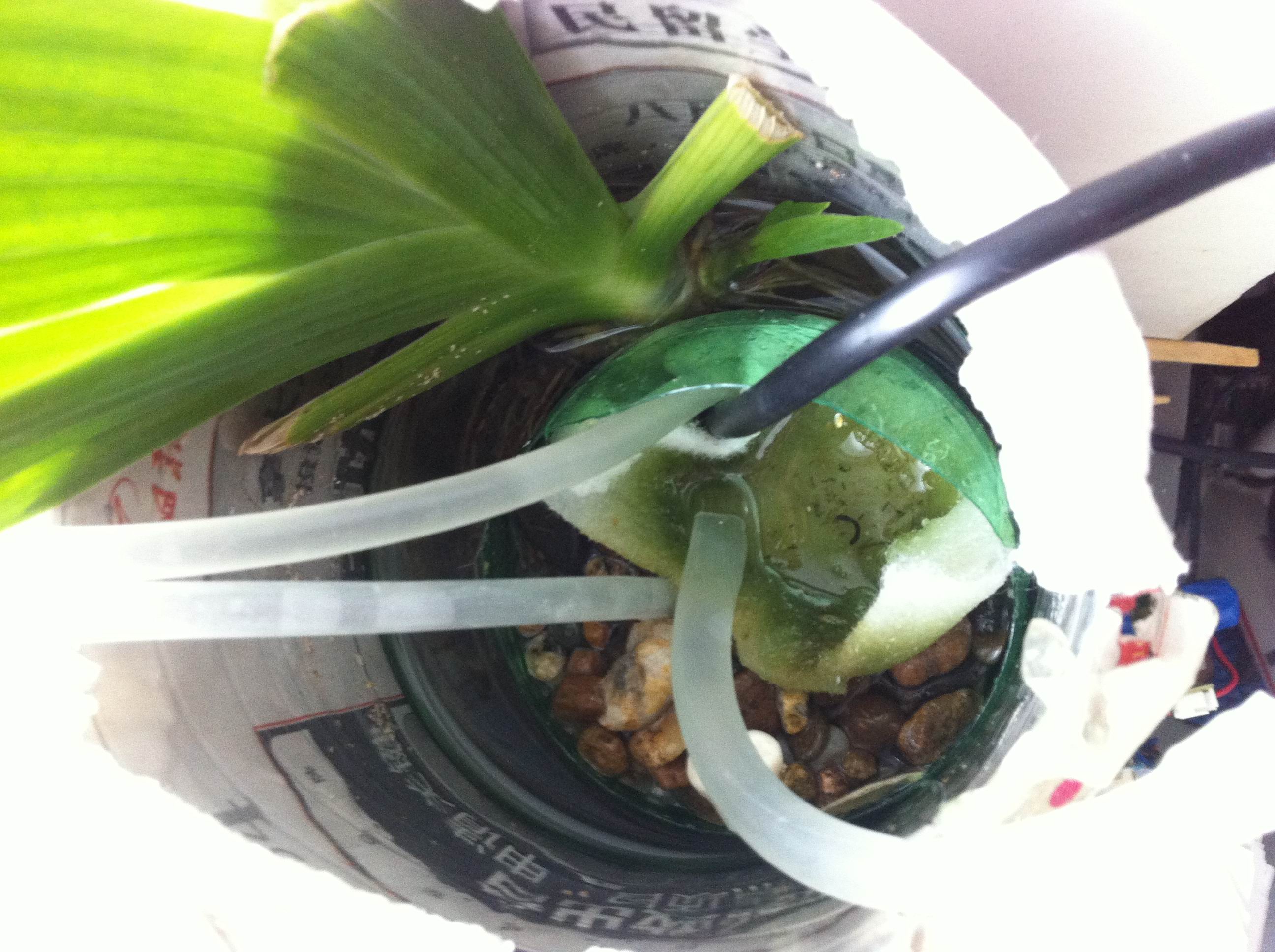 è¿ç§äºä¸æ ªé¸¢å°¾å¨è¿æ»¤å¨é