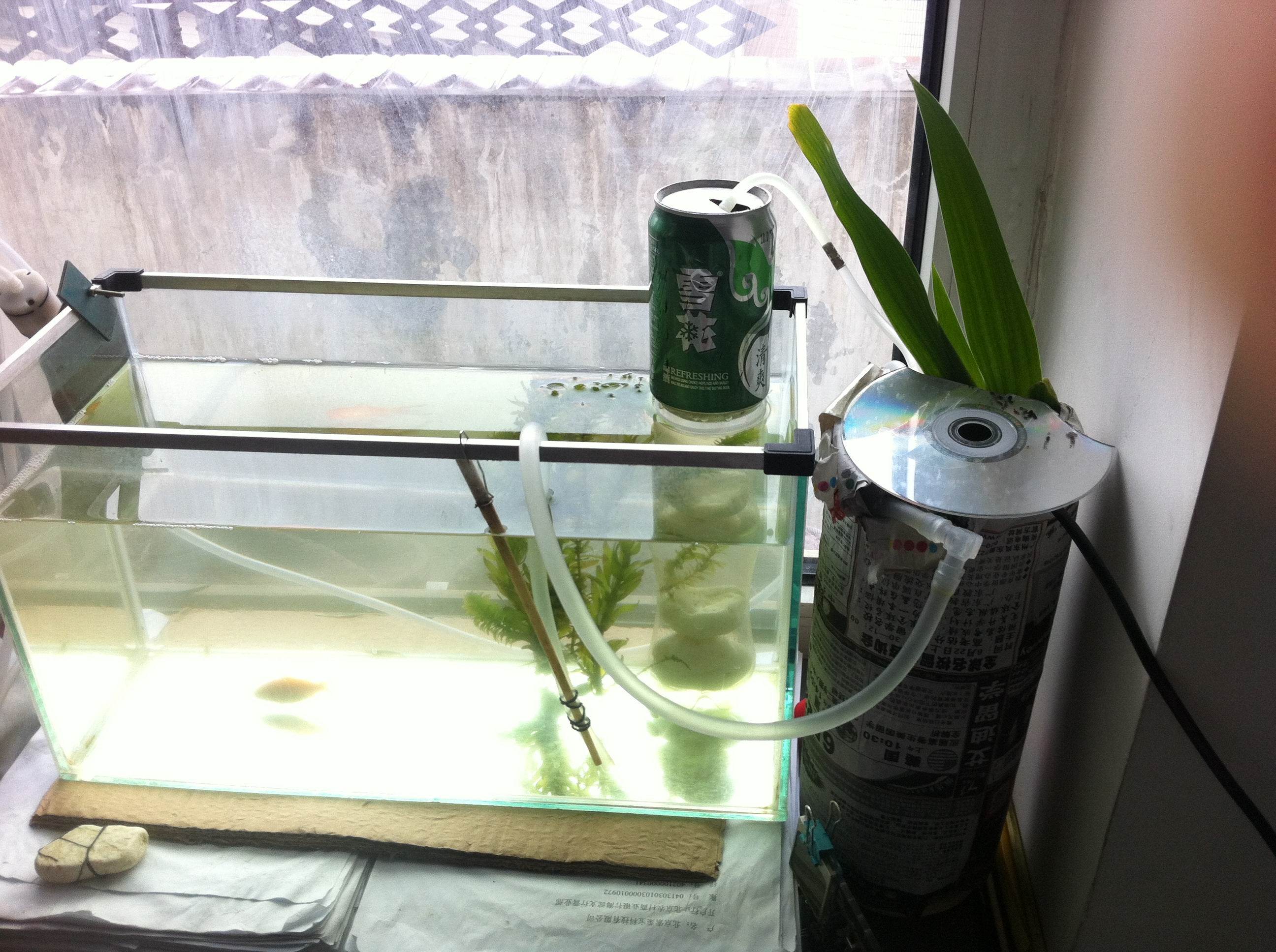 è¿æ»¤å¨è¦é¿å