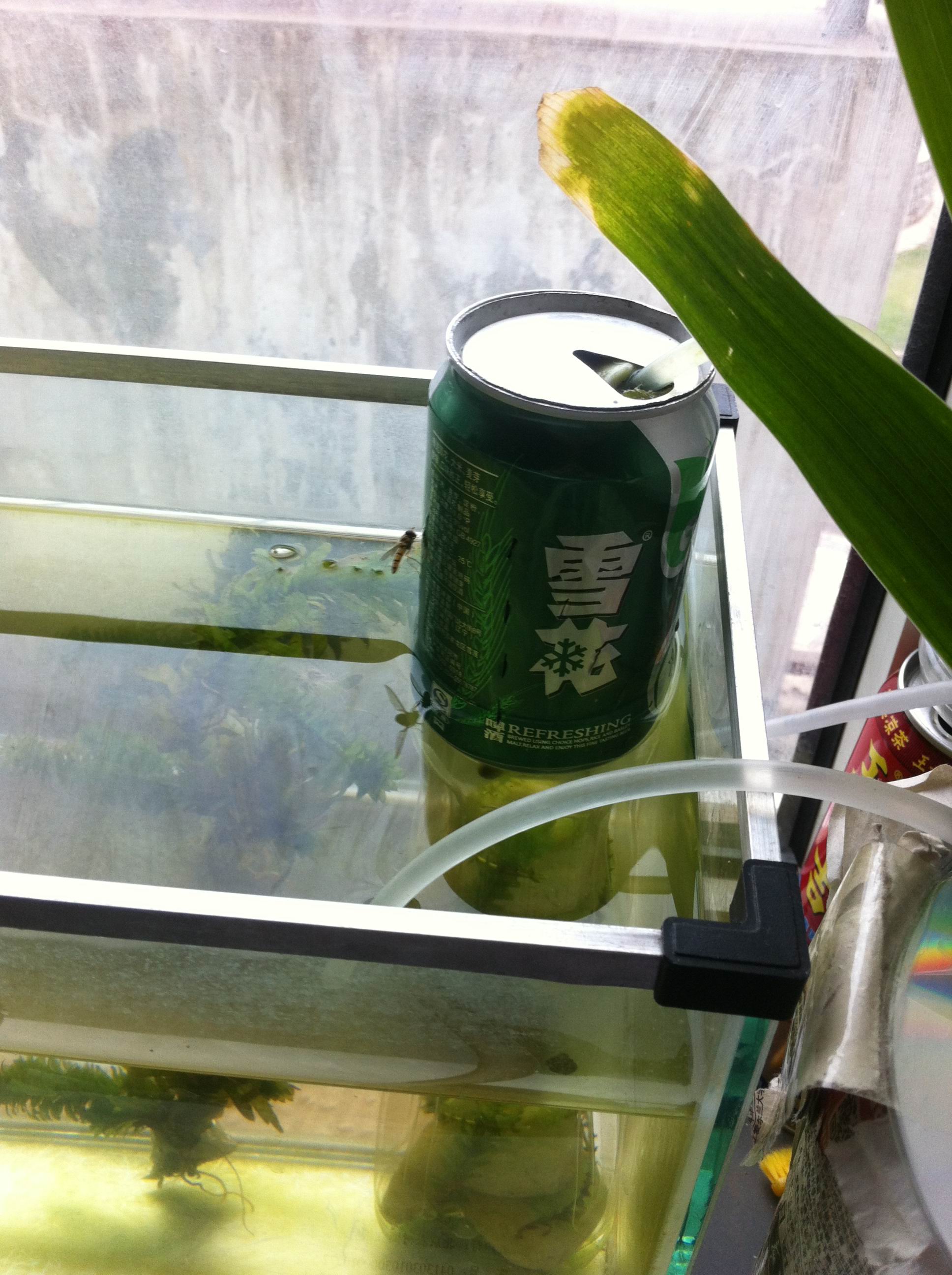 ä¸å¤©æ©æ¨ä¸åªå°èèåä¸´ï¼
