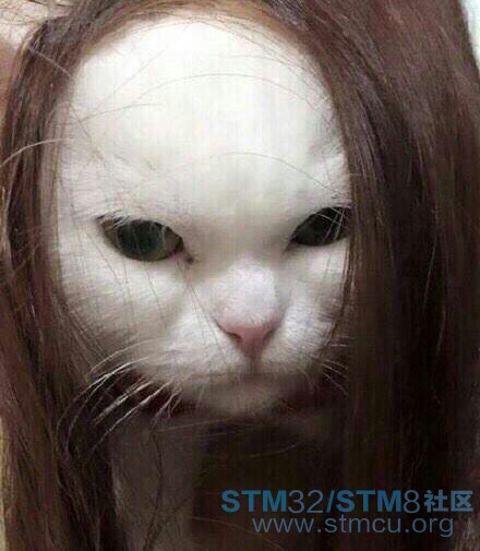 ç«ç.jpg