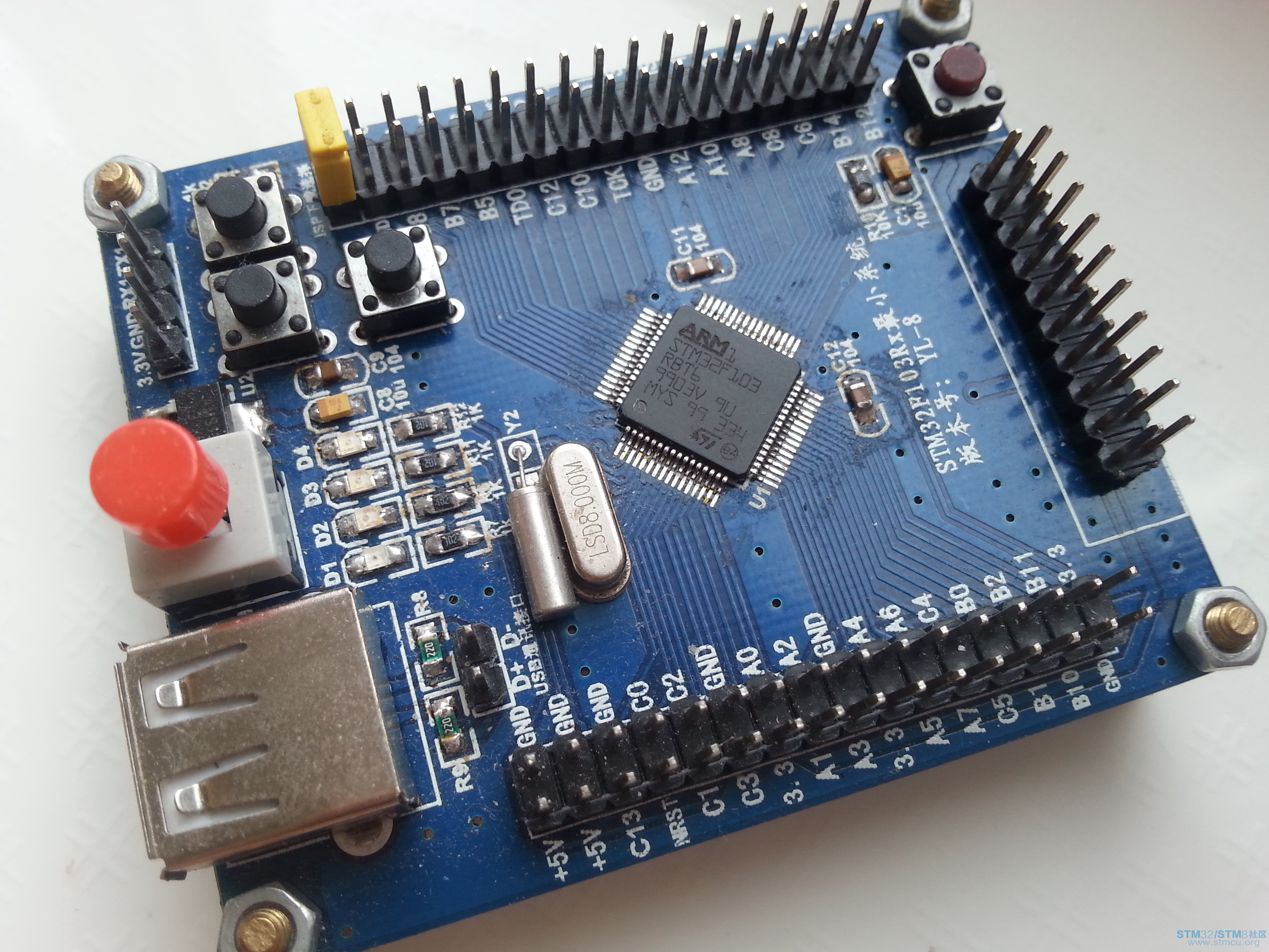 STM32F103RBT6.jpg