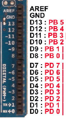P01.JPG
