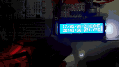1.gif