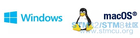15.png