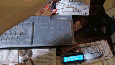1.gif