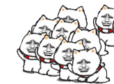 QQå¾ç20170801164358.gif