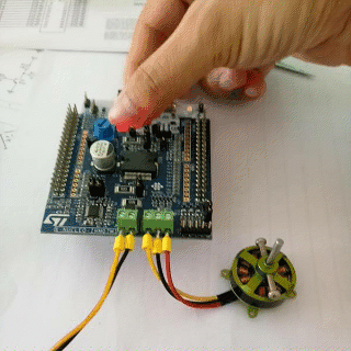 P70818-131504.gif