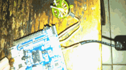 FOCå¯å¨.gif