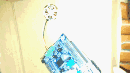 1.gif