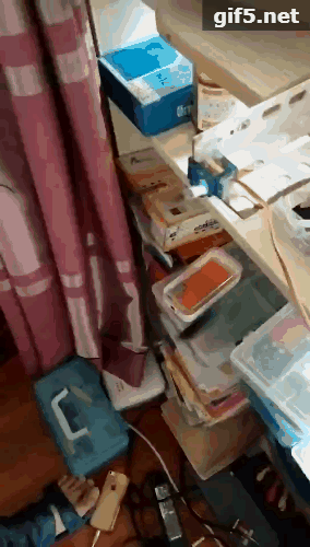 gif5æ°æä»¶ (1).gif