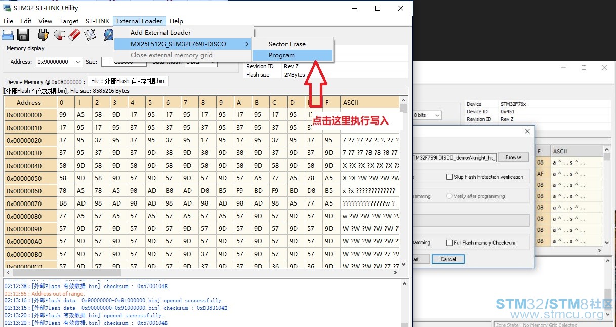 åå¥å¤é¨Flashæ°æ®.jpg