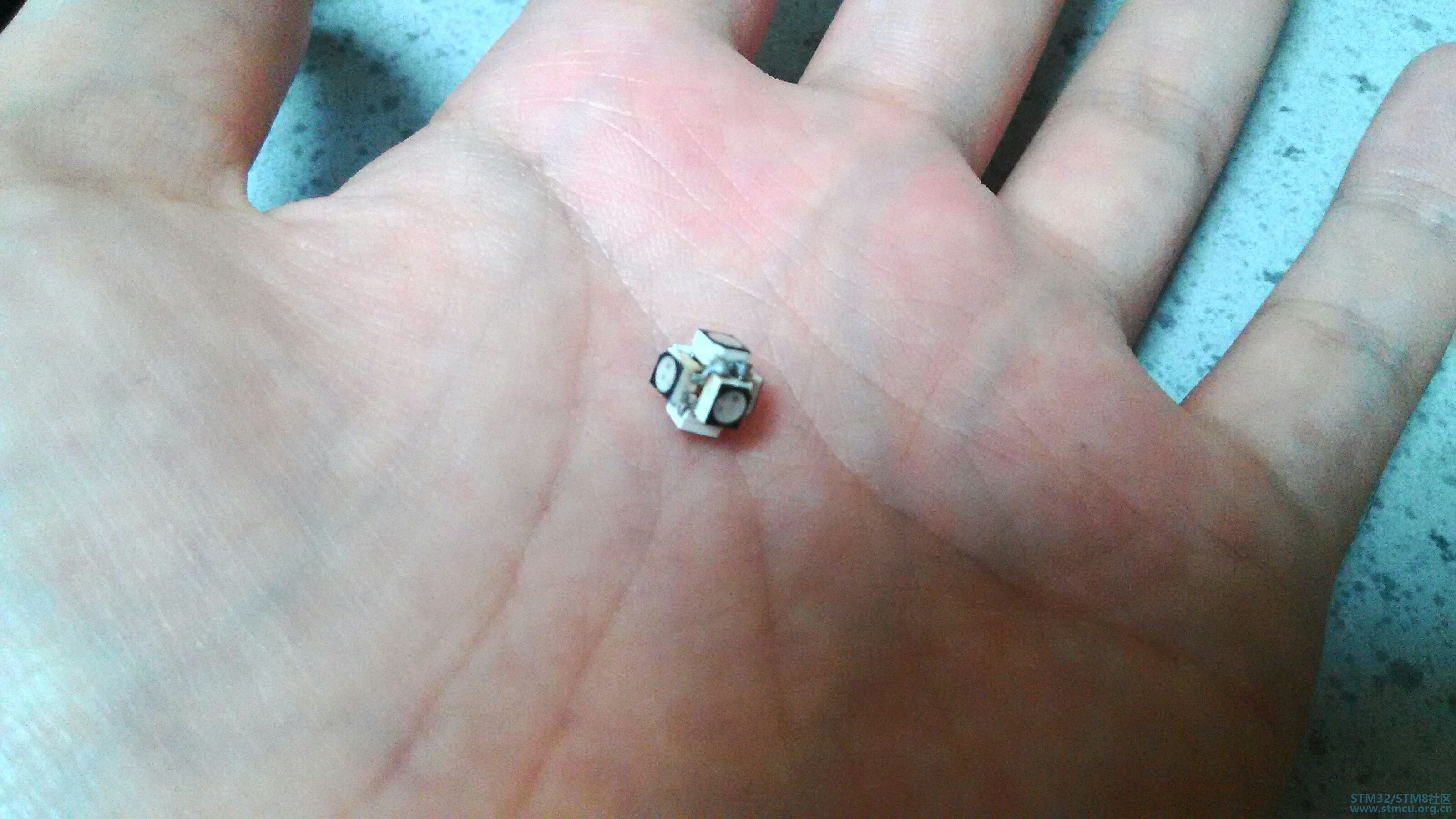 6102021471053289948.jpg