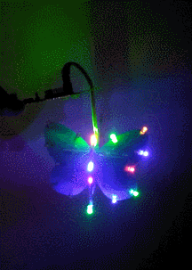 GIF2.gif
