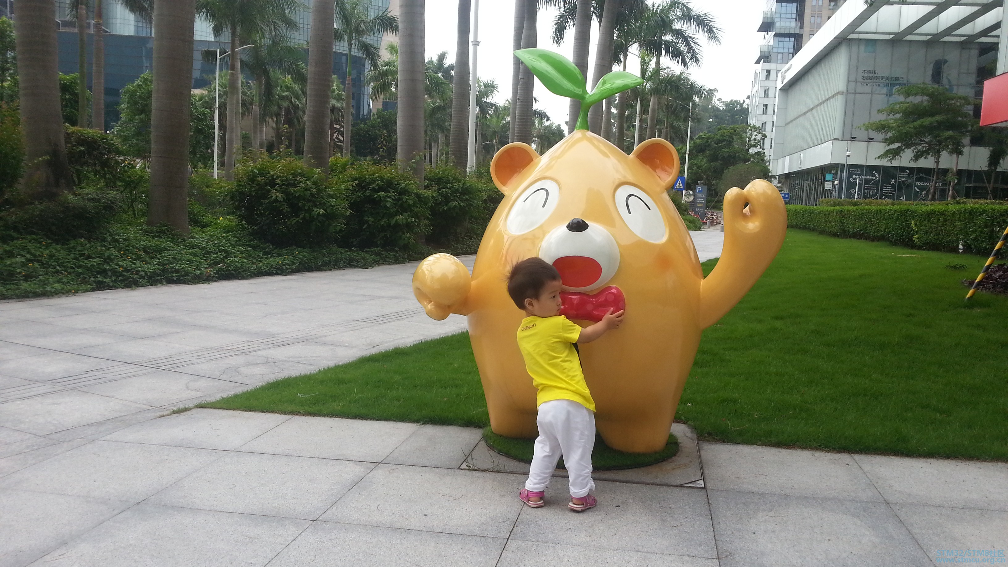 20190427_091332.jpg