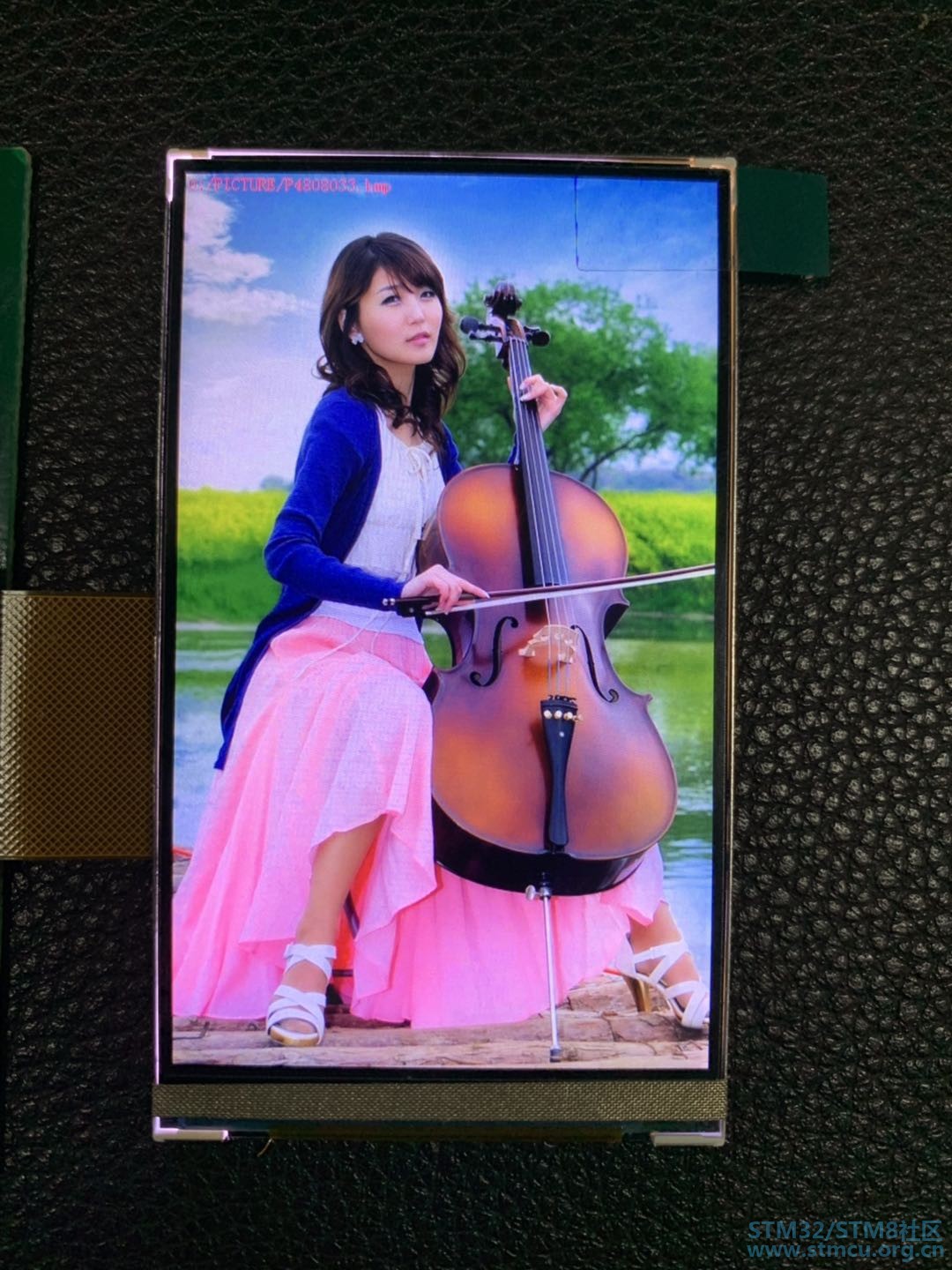 åæ¡