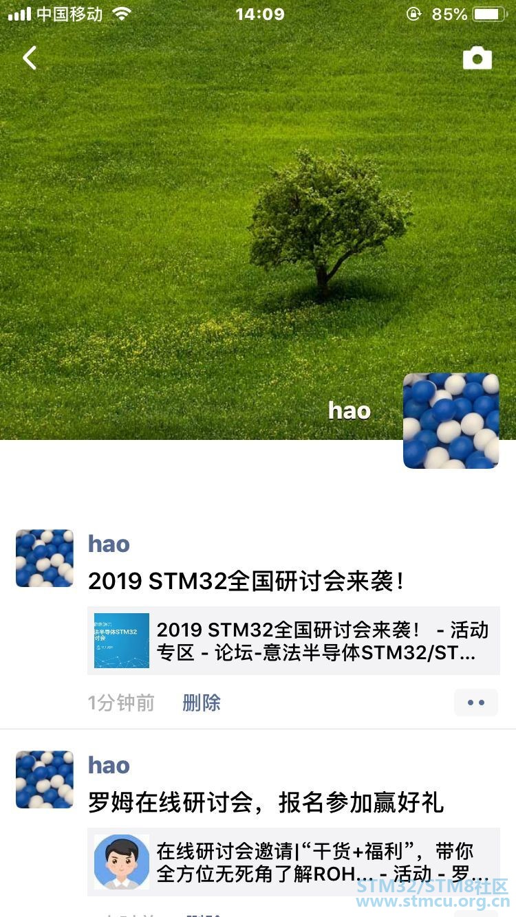 st5.jpg