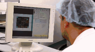 å¾®ä¿¡å¾ç_20200831223754.gif