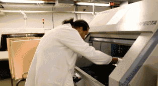 å¾®ä¿¡å¾ç_20200831223805.gif