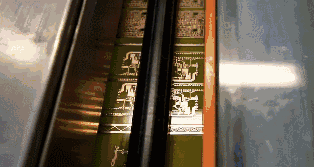 å¾®ä¿¡å¾ç_20200831223836.gif
