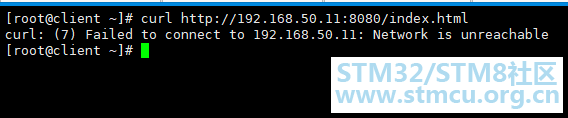 å¾®ä¿¡å¾ç_20201119214046.png