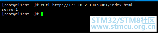 å¾®ä¿¡å¾ç_20201119214055.png