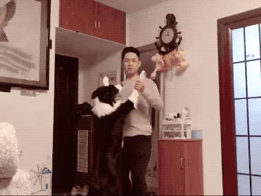 å¾®ä¿¡å¾ç_20201219203715.gif
