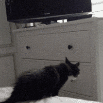 å¾®ä¿¡å¾ç_20201219203713.gif
