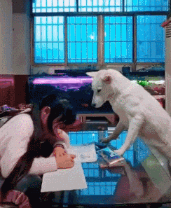 å¾®ä¿¡å¾ç_20201219203750.gif