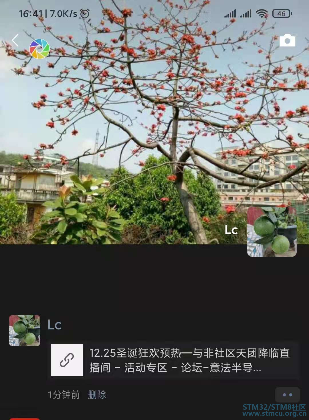 e0342a3b1a8f2fae5fd271c4d3dce40.jpg