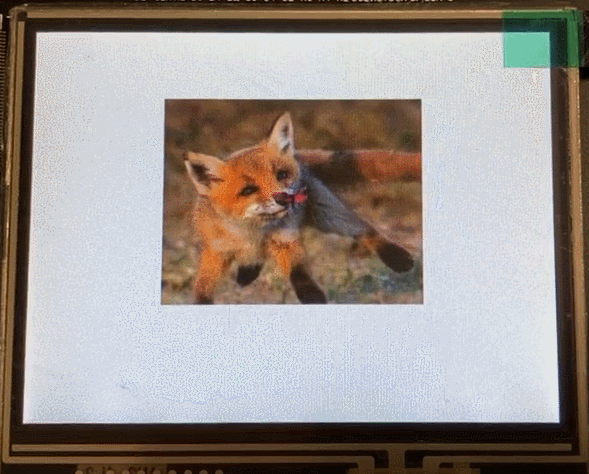 2.gif