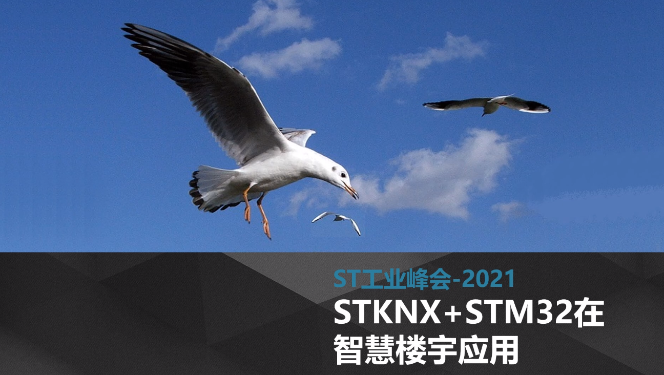 STKNX - STM32 - IP网关客户案例及应用程序