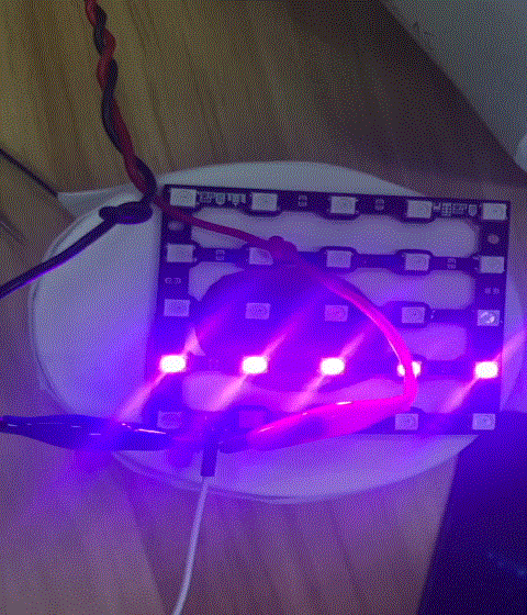 af8ee788e2fa40c19b5174c5c0c6157c.gif