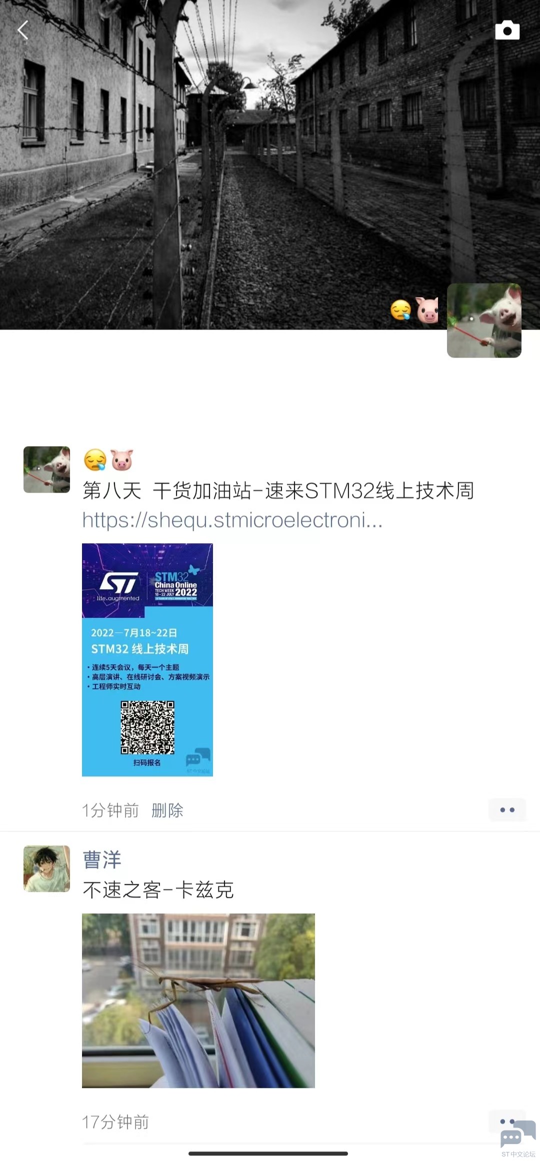 第八天.jpg