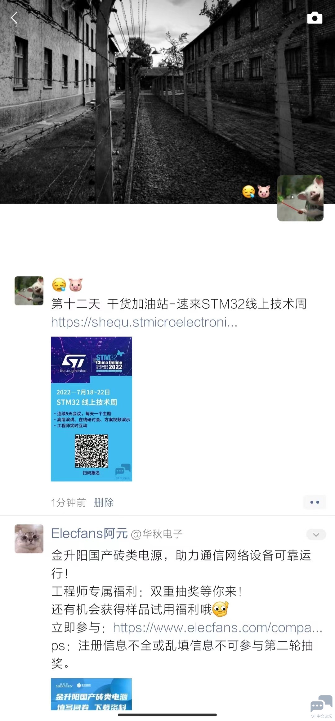 第十二天.jpg