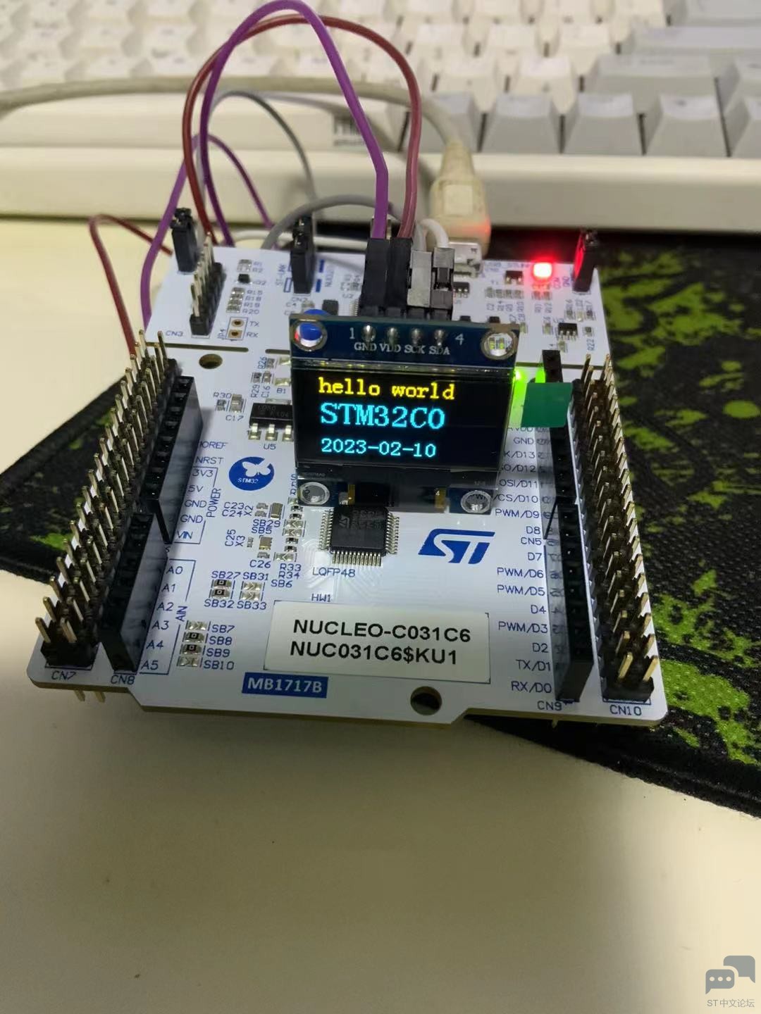 OLED.jpg
