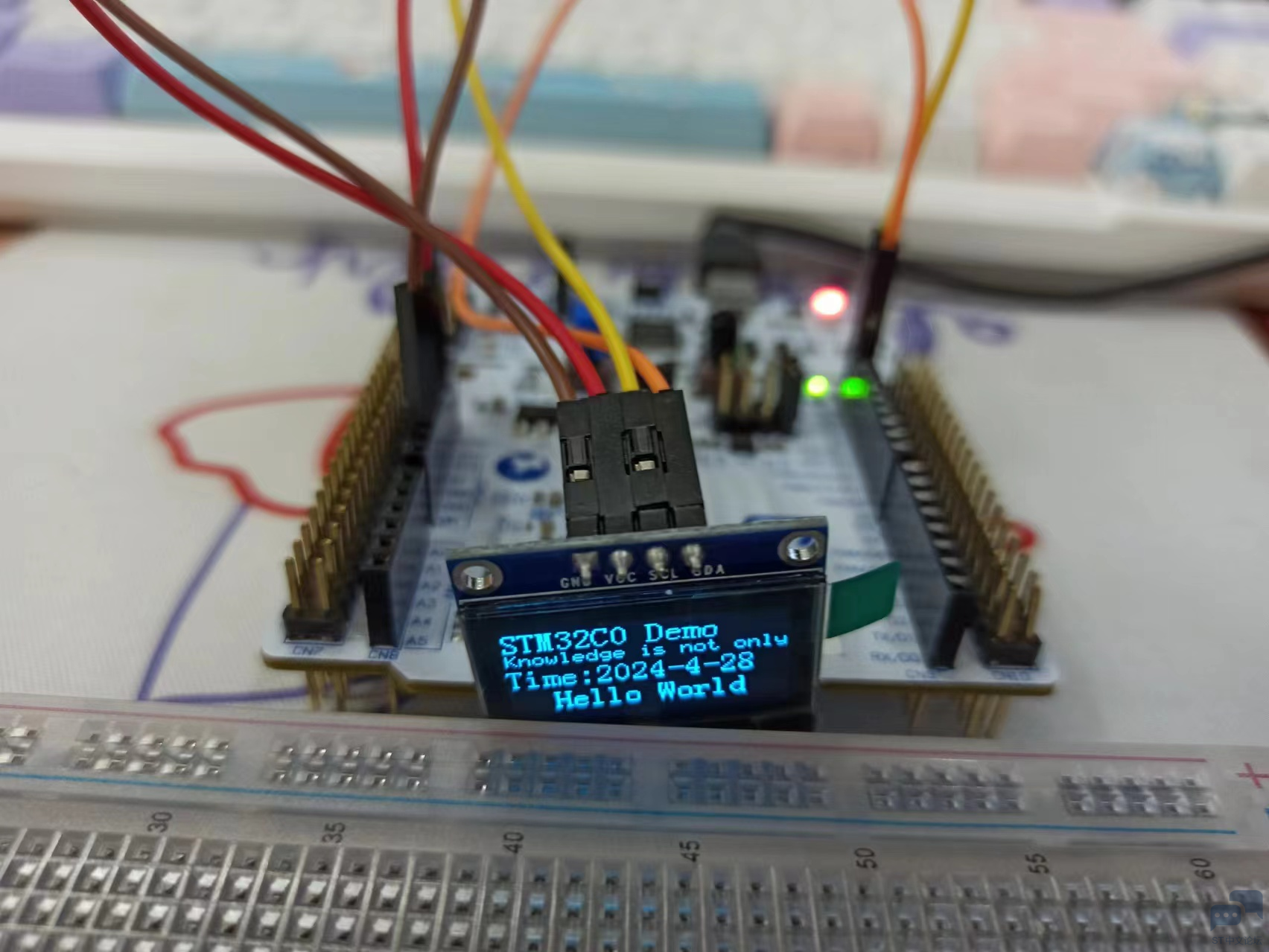 image-20240428014508432.png