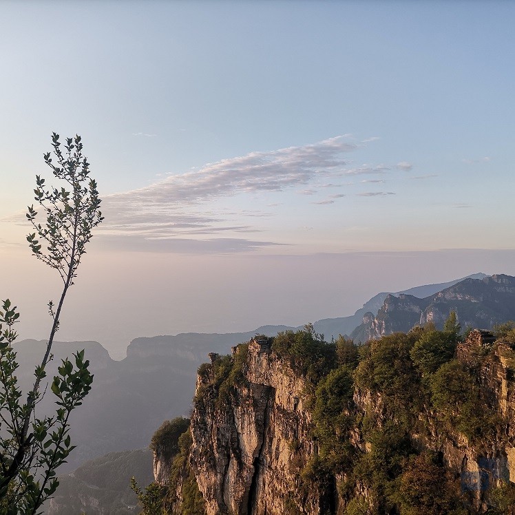 view.jpg