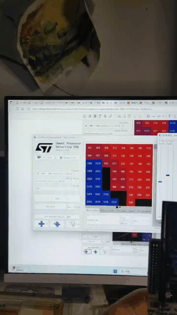 video1.gif