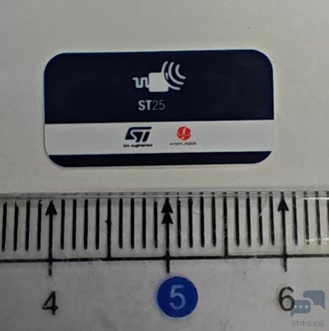 233522088.jpg