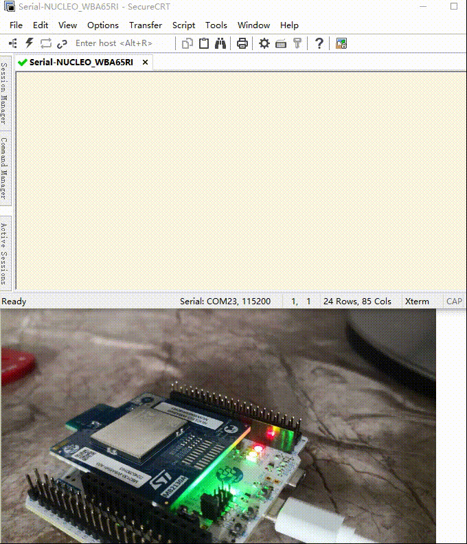 03_CLI.gif 03_CLI.gif