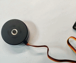 motor.gif