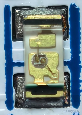 55.jpg
