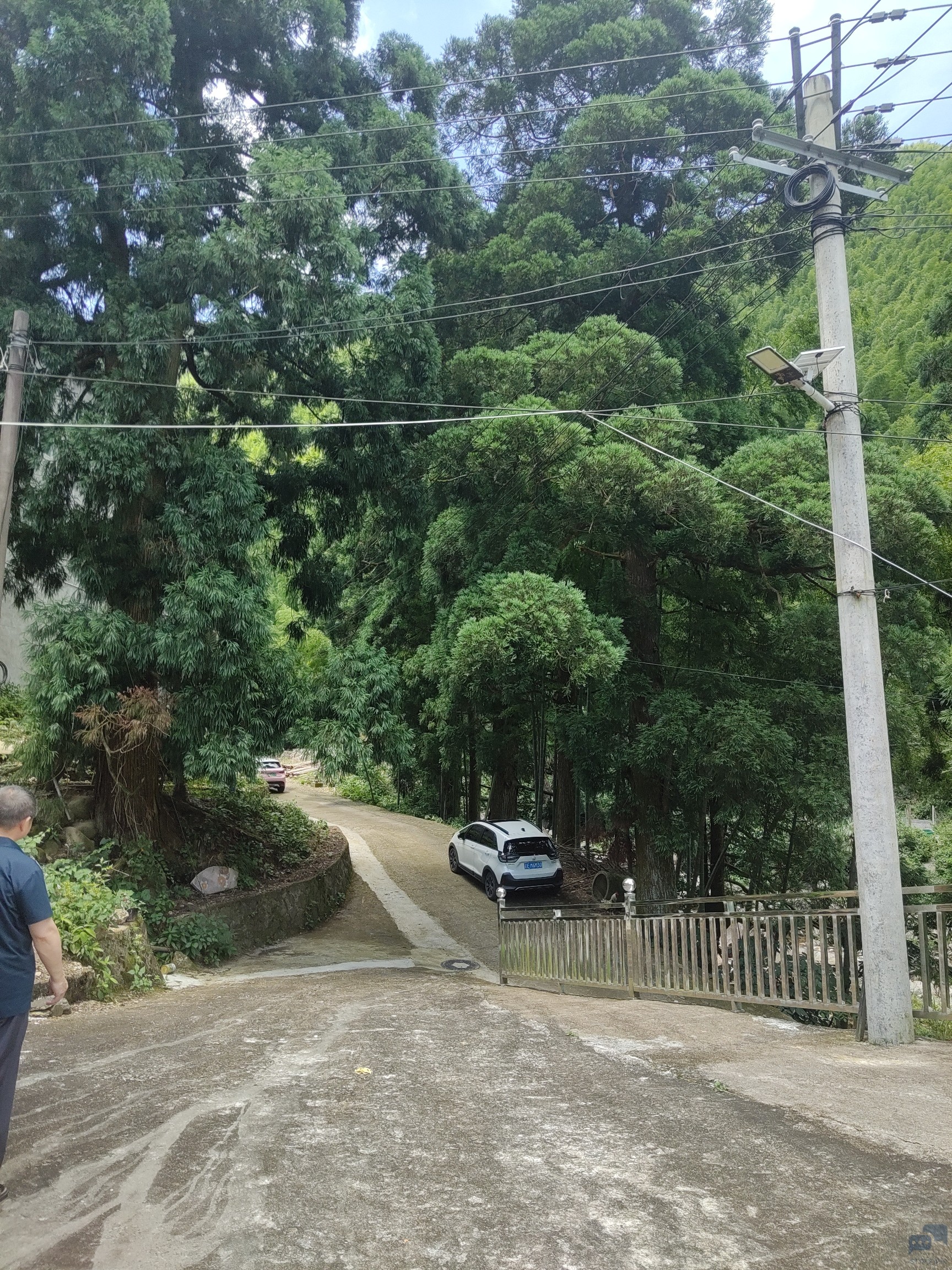 保护区7.jpg