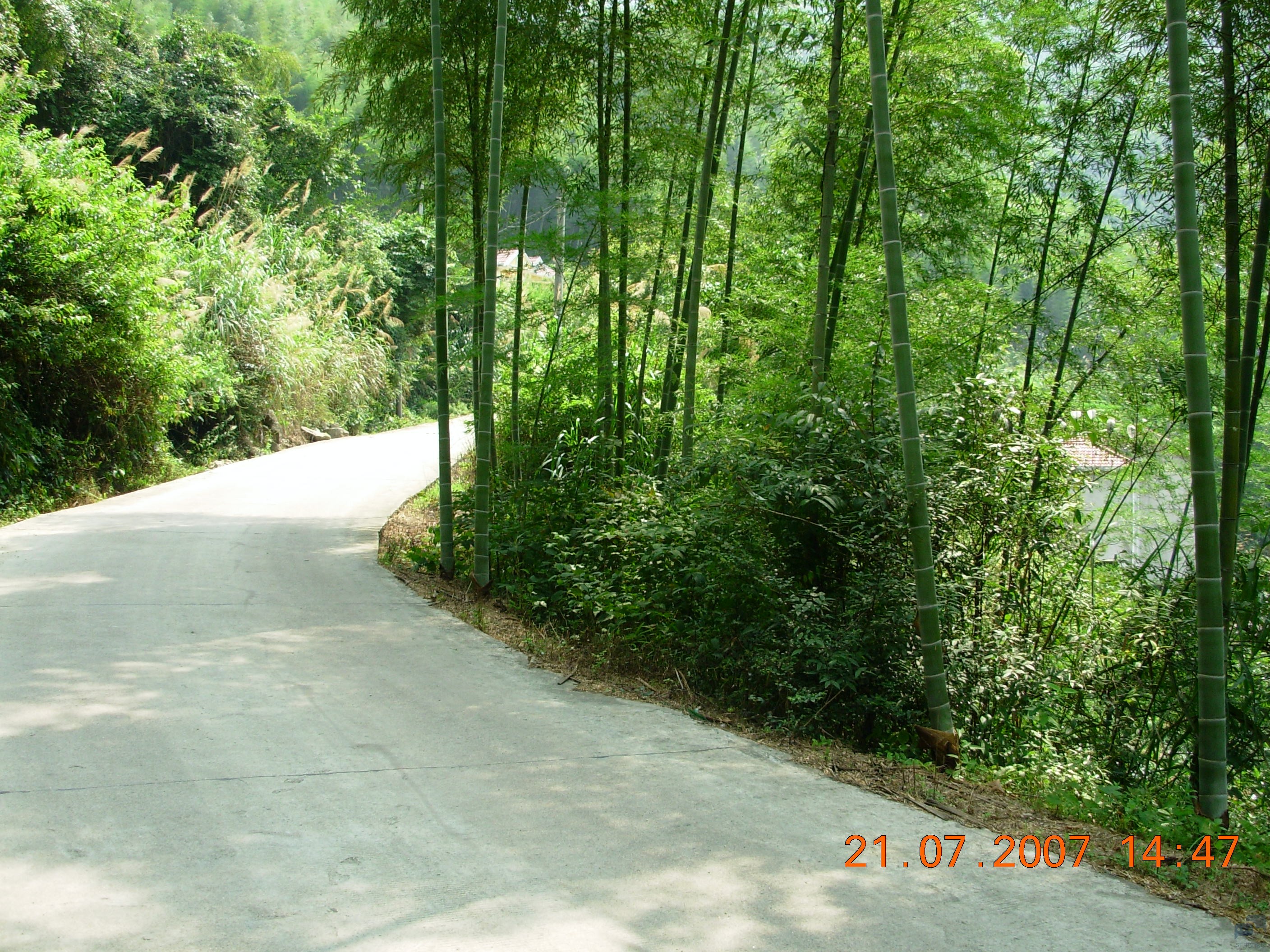 DSCN2312.JPG