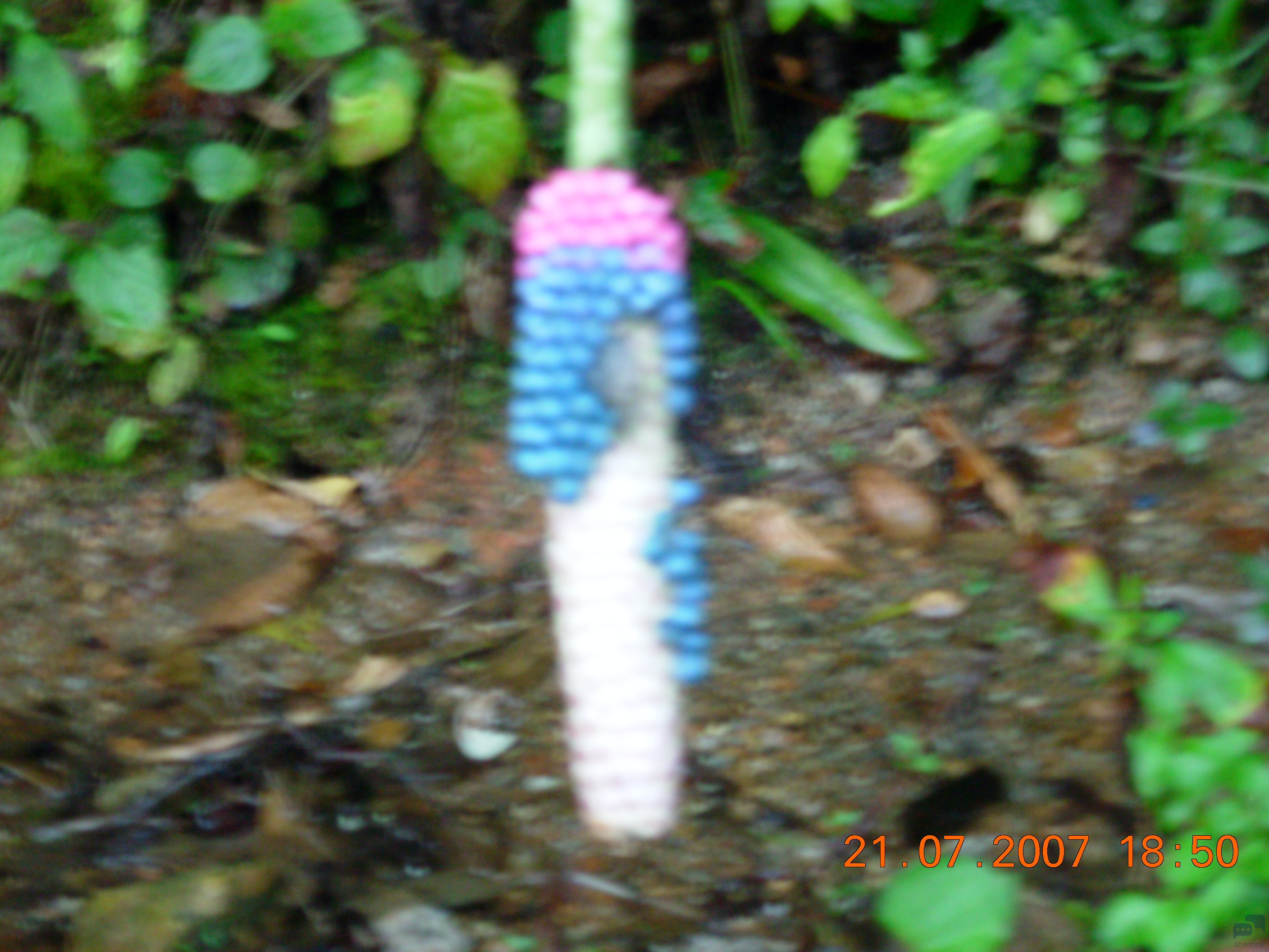 DSCN2404.JPG